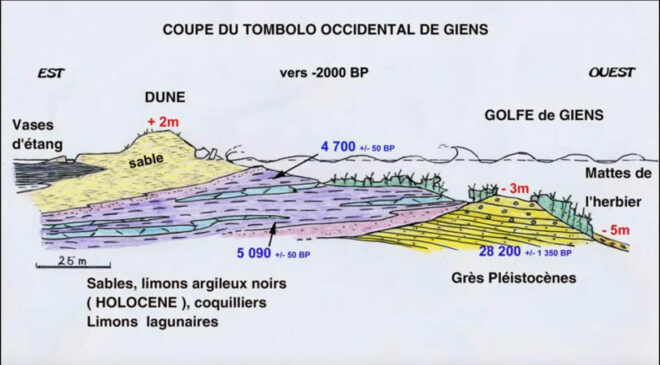 Coupe synthétique représentant le tombolo occidental de Giens.