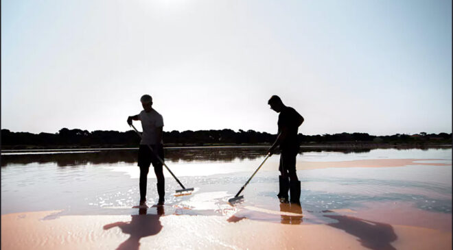 Deux saulniers pratiquent la cueillette de la fleur de sel aux salins des Pesquiers.