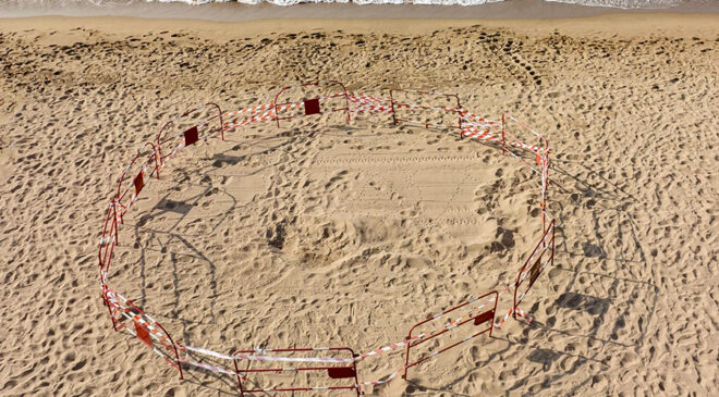 Une tortue marine est venue pondre à Fréjus-Plage vers 3 h 30 dans la nuit du samedi 22 au dimanche 23 juillet.