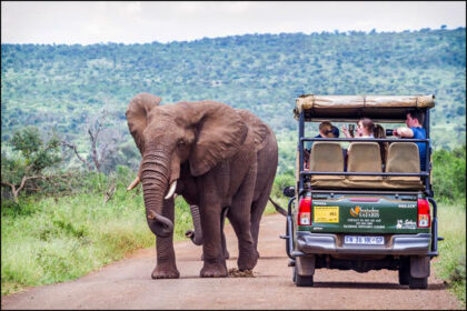 Tourisme et biodiversité