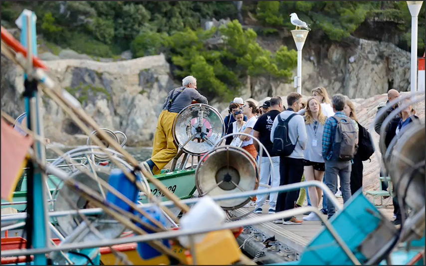 Captures accidentelles d'oiseaux marins.